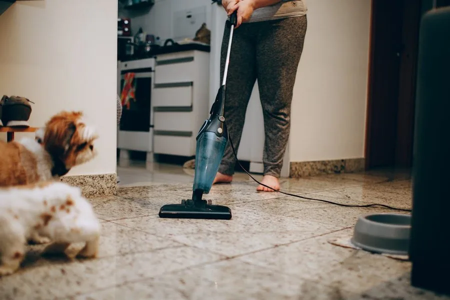 Homeowner vacuuming the kitchen floor with two dogs nearby